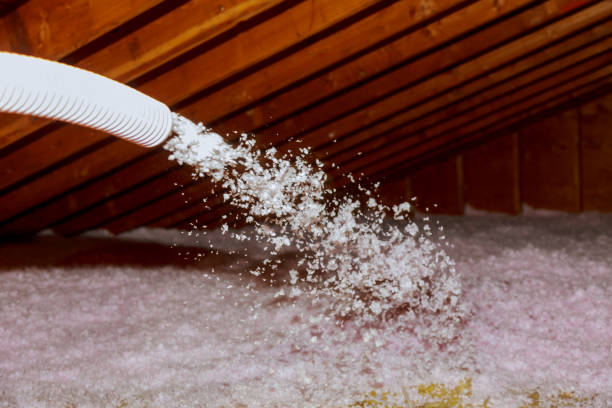 Best Energy Efficiency Solutions in Danvers, IL