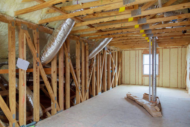 Best Insulation Maintenance and Repair in Danvers, IL