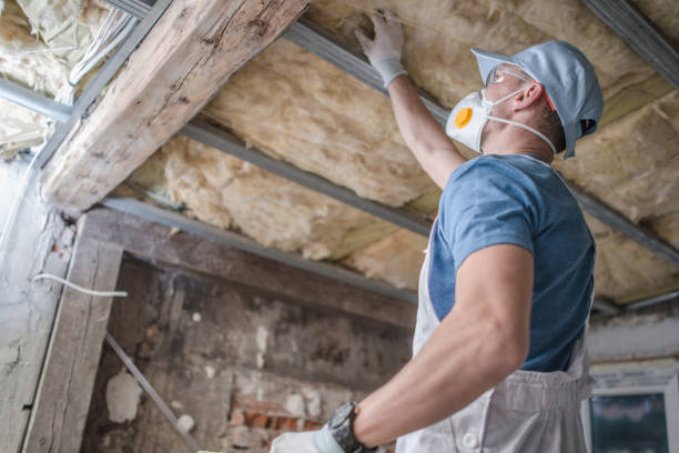 Best Energy Efficiency Solutions in Danvers, IL