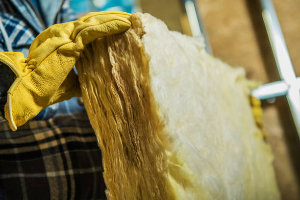 Best Types of Insulation in Danvers, IL