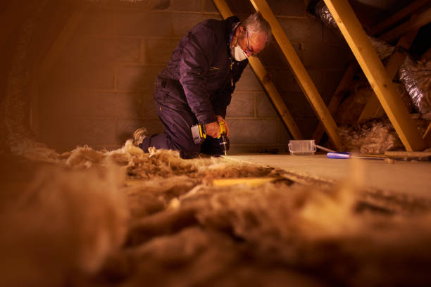 Best Specialty Insulation in Danvers, IL